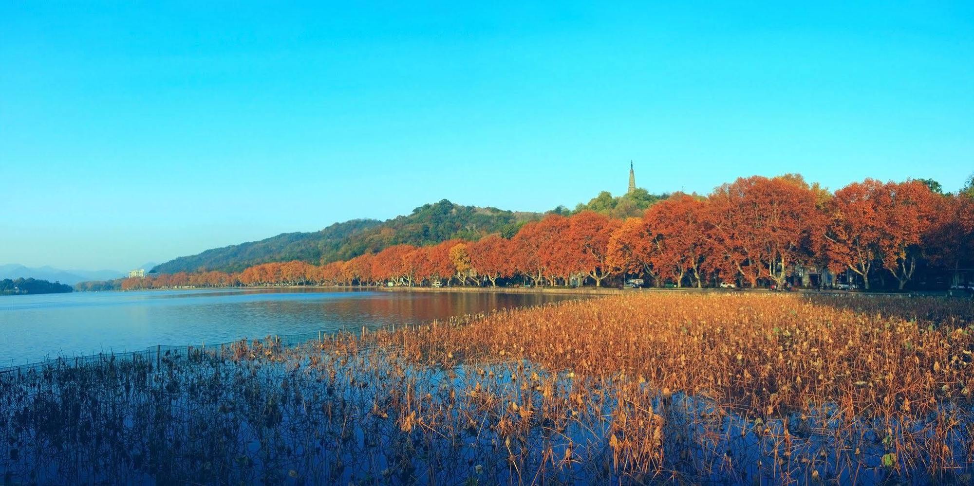 Four Points By Sheraton Hangzhou, Binjiang Экстерьер фото